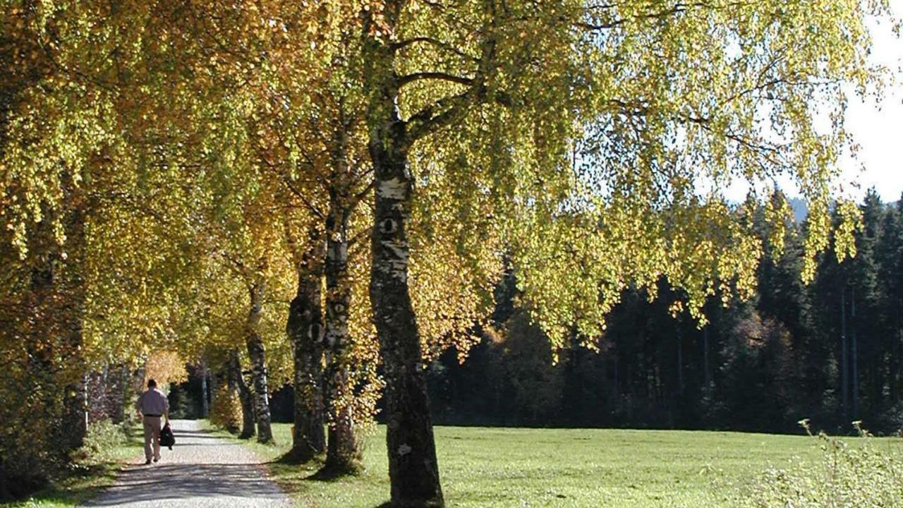 Landhaus Seeblick Apartment *